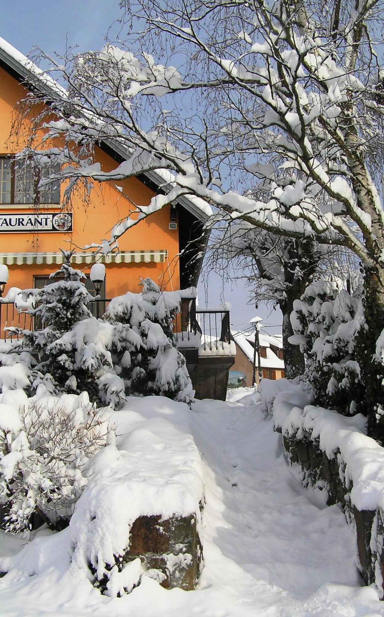 A L'Arbre Vert Wintzfelden Exterior photo