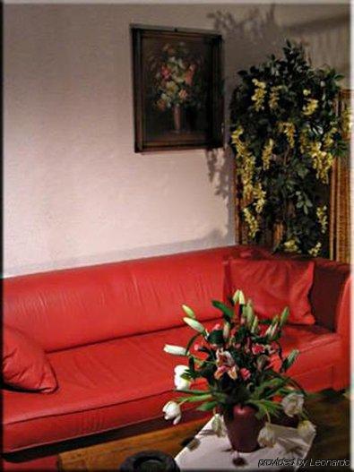 A L'Arbre Vert Wintzfelden Interior photo